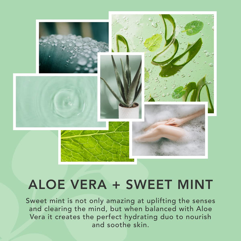Sunday Rain Aloe Vera & Sweet Mint Polishing Body Scrub for Dry Skin, Vegan & Cruelty-Free, 265g - BeesActive Australia