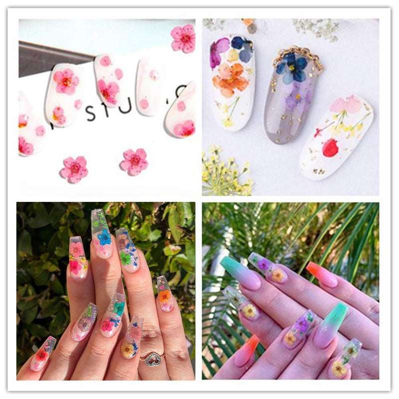 3D Nail Dried Flowers Sticker Set with Tweezers, CHANGAR Real Dried Flowers for Nail Art & Resin Craft DIY Five Petal Flower Leaf Gypsophila Dry Flower Nail Art Decoration Kits(2 Boxes) - BeesActive Australia