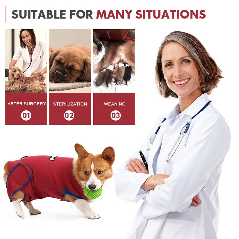 Vanansa Dog Surgical Suit, Dog Surgery Recovery Suit After Surgery Operation, Dog Onsie to Alternative E-Collar After Surgery Wear Dog Medical Cloth. L Red - BeesActive Australia