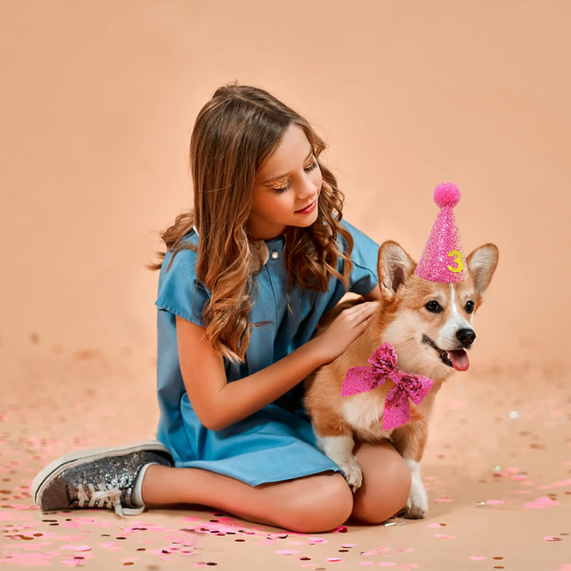 IDOLPET Cat Birthday Hat and Bowtie Dog Birthday Hat Reusable Cute Cone Hat with 0-9 Figure Doggy Bow Tie for Dog Adult Cat Birthday Party Supplies Costume Grooming Headwear Hair Accessories Pink - BeesActive Australia