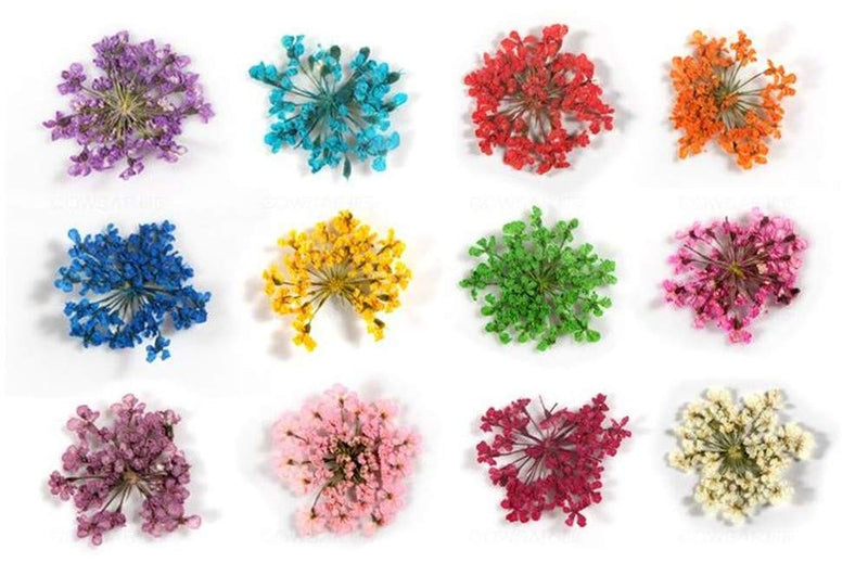 XICHEN 3 Boxes/84 PCS Nail Art Accessories three-dimensional nail dry flowers (Starry/five flower/ 3D Nail Art Coral flower) - BeesActive Australia
