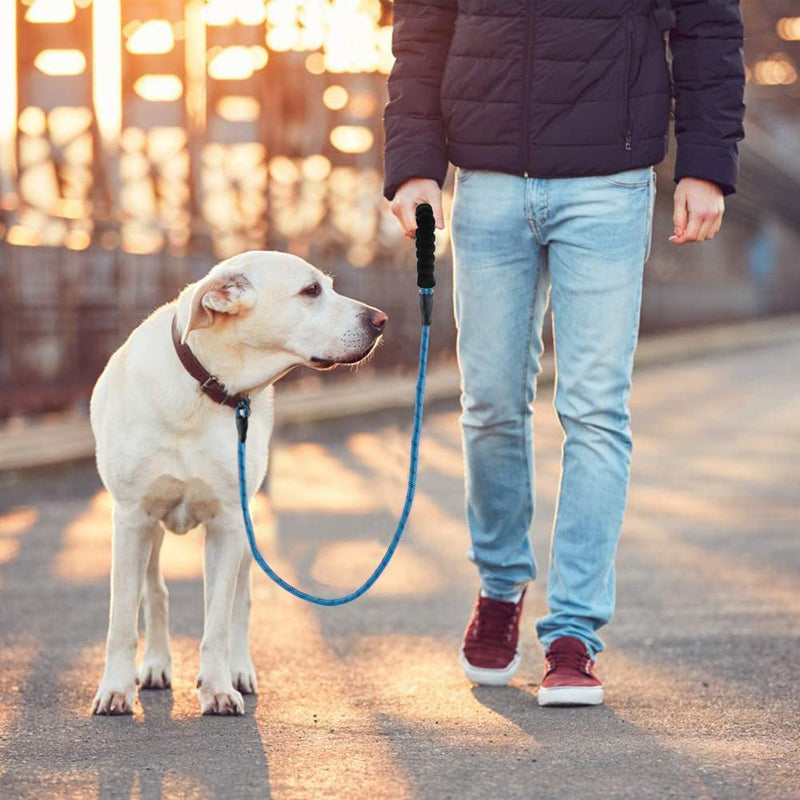 3 Pack Dog Leash 5/6 FT Strong Heavy Duty Rope Dog Leash with Comfortable Padded Handle Durable Reflective Threads for Medium Large Dogs 1/2'' x 5 FT (18~120 lbs.) 3 pack black pink blue - BeesActive Australia