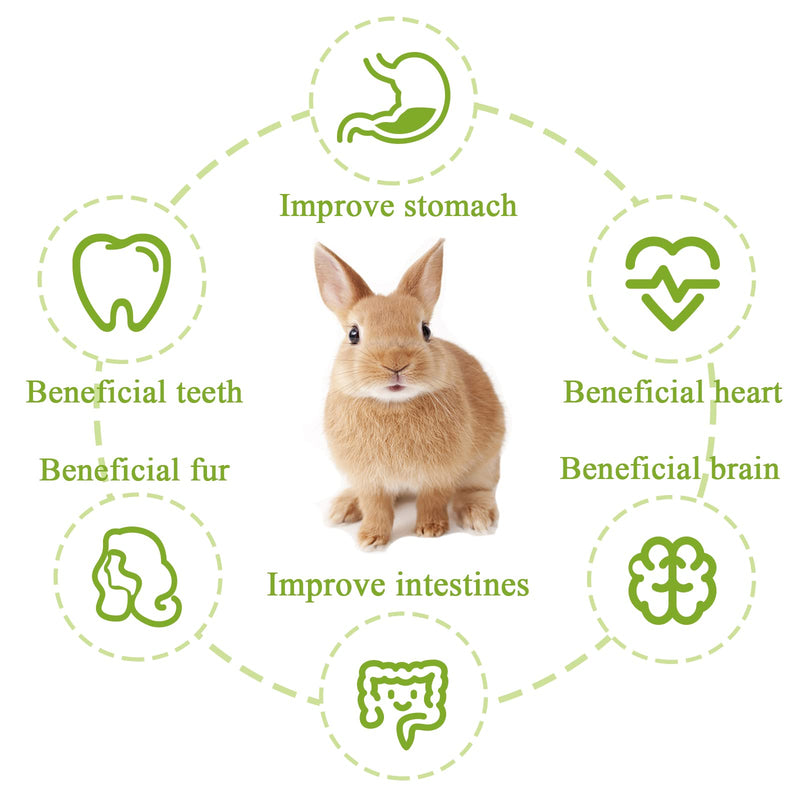 Timothy Hay Sticks,30PCS 4 Different Flowers Flavored Rabbit Chew Toys,Natural Treats and Chews for Bunny Guinea Pigs Chinchillas Gerbils - BeesActive Australia