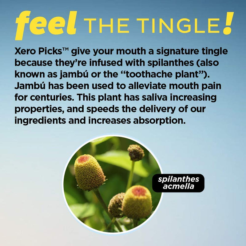 Xero Picks Energy Infused Flavored Toothpicks with Caffeine, B12 and B6 (Cherry, 3 Pack) Cherry - BeesActive Australia