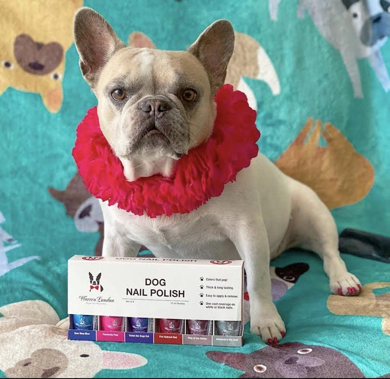 Warren London Dog Nail Polish in A Bottle Premium Coverage & Color- Made in USA- Red 0.51 Fl Oz (Pack of 1) Fire Hydrant Red - BeesActive Australia