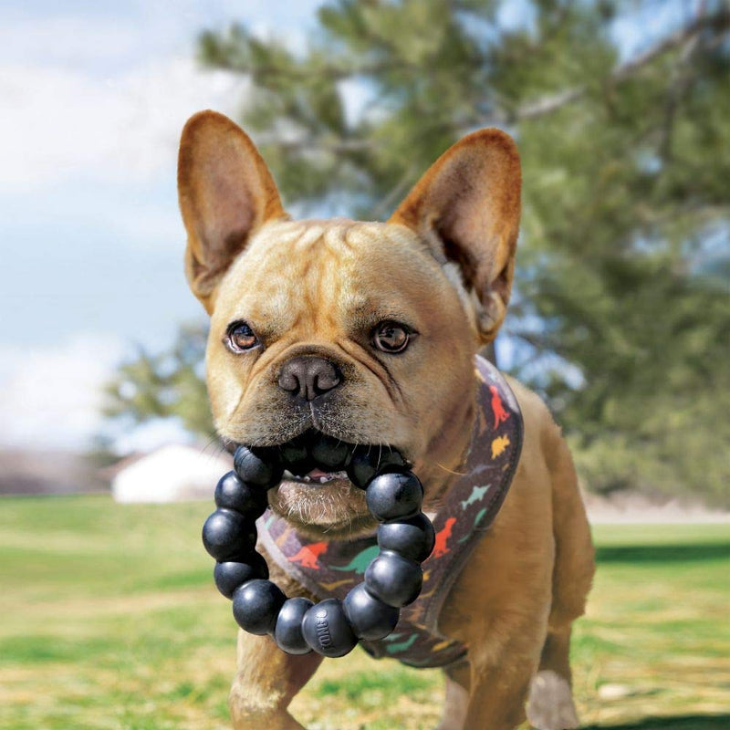 KONG Extreme Black Ring Dog Toy X-Large (Pack of 1) - BeesActive Australia