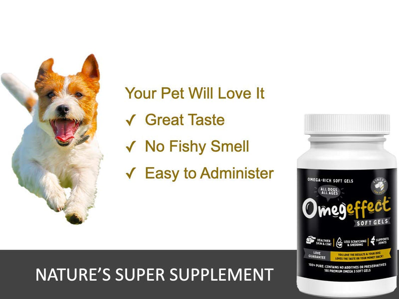 100% Pure Omega 3 Fish Oil for Dogs - Soft Gels for Skin, Coat & Joints. Reduces Scratching & Shedding. from Wild Fish - Better Source of EPA & DHA Than Salmon Oil. Ideal for Medium Large Dogs. 180 Count - BeesActive Australia
