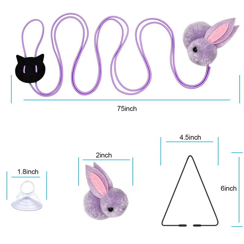 Cat Toys for Indoor Kitten Toys,2PCS Retractable Cat Wand Toys ,10PCS Teaser Refills&1PCS Hanging Door Self-Play Cat Toy,Interactive Feather Toy for Teaser Play and Chase Exercise with Kitten SET A - BeesActive Australia