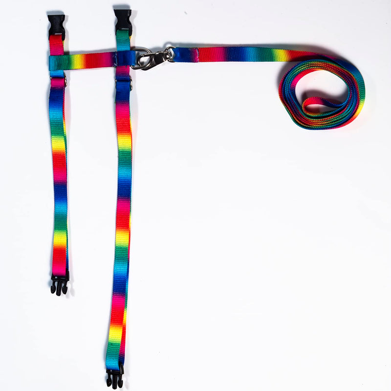 FABATY Cat Harness and Leash Set, Cats Escape Proof - Adjustable Kitten Harness for Large Small Cats and Puppies Lightweight Soft Walking Travel Petsafe Harness Rainbow - BeesActive Australia