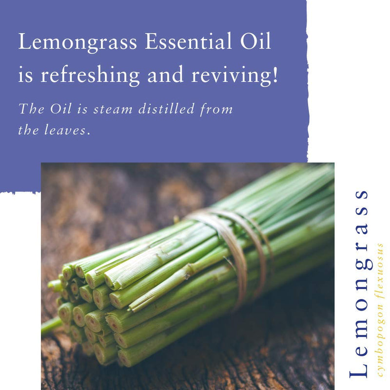 Absolute Aromas Organic Lemongrass Essential Oil 30ml - 100% Pure, Natural and Certified Organic 30 ml (Pack of 1) - BeesActive Australia