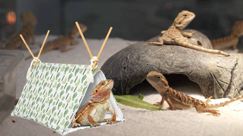 Bearded Dragon Tent Bed,Cactus Pattern Reptile Bearded Dragon cage/hides and Caves/Habitat Hideout… cactus - BeesActive Australia