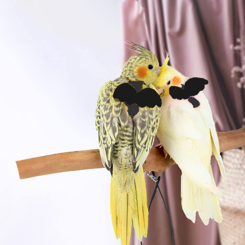 Pet Parrot Bird Harness and Leash, Adjustable Training Design Anti-Bite, Bird Nylon Rope with Cute Wing for Parrots, Suitable for Budgerigar Cockatiel Peony Parrot and Same Size Birds L Black - BeesActive Australia