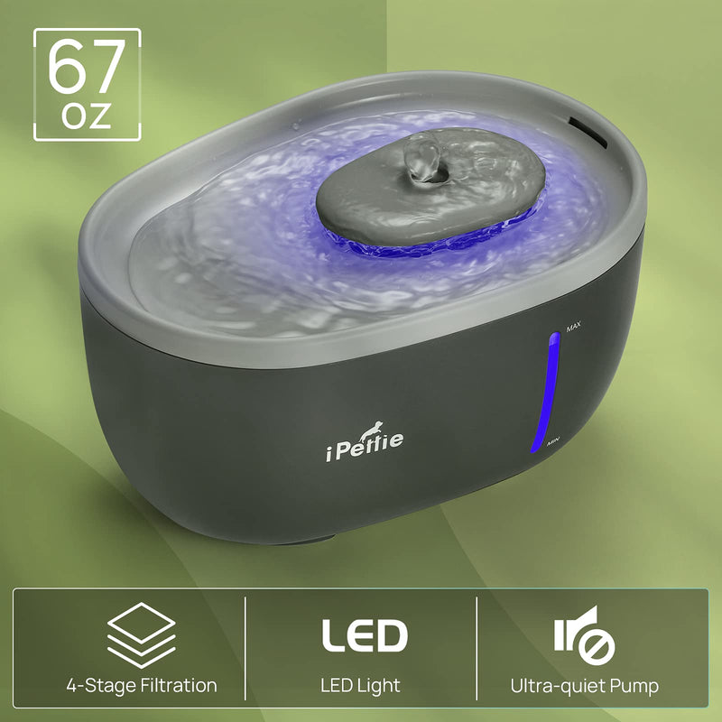 iPettie Avocado Pet Water Fountain with LED Light, 67oz/2.0L, Ultra Quiet Cat Water Fountain with Filter, Automatic Pet Water Fountain for Cats and Small Dogs, Grey Grey (with Adapter) - BeesActive Australia