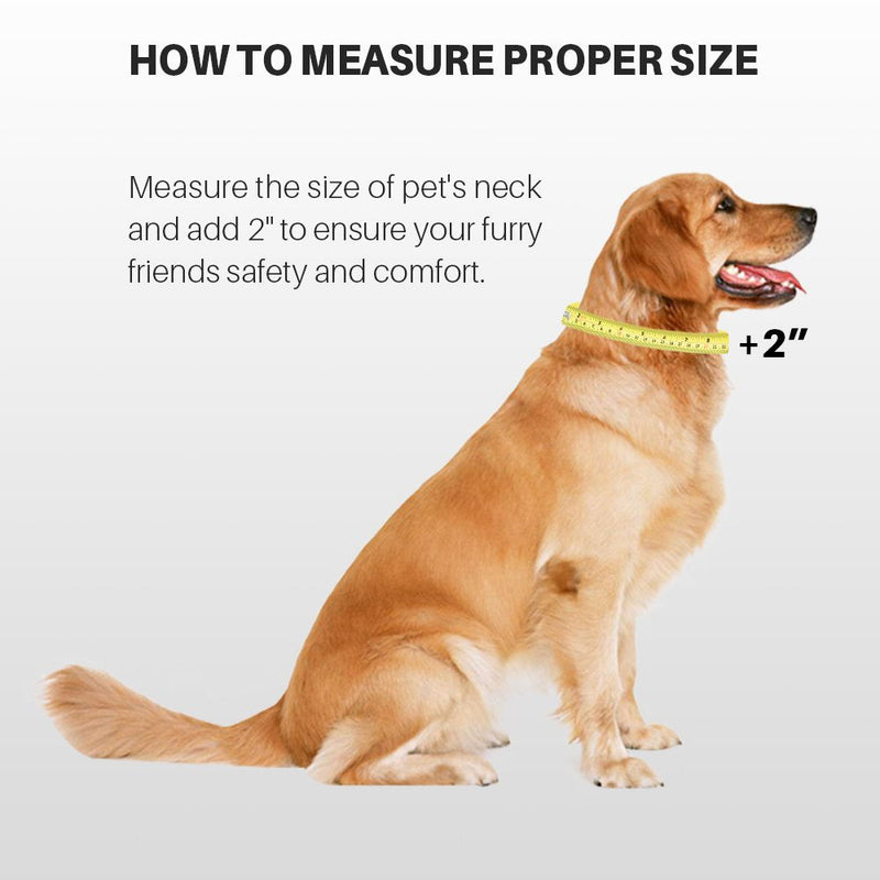 Hyhug Pets Premium Upgraded Heavy Duty Nylon Anti-Escape Martingale Collar for Boy and Girl Dogs Comfy and Safe - Professional Training, Daily Use Walking. Large Red - BeesActive Australia