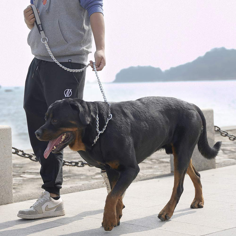 TSPRO Chew Proof Dog Leash Stainless Steel Dog Leash Metal Chain Training Dog Leash with Soft Handle for Medium Large Dog Length: 100cm/39.37inches KAHKI - BeesActive Australia