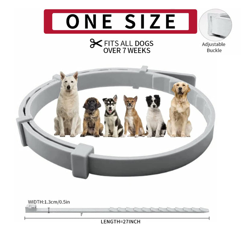 Flea and Tick Collar for Dogs, Flea and Tick Prevention for Dog, 27 Inch, 8 Month Protection 2 PACK DOG - BeesActive Australia