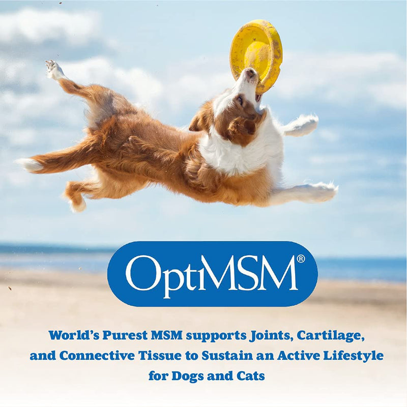 Ultra-Pure MSM for Dogs, Cats & Horses, Supports Hip, Joint and Connective Tissue for Healthy Cartilage and Mobility Opti MSM the Purest in the World by NWC Naturals 1 lb Canister (Model: POWDER) - BeesActive Australia