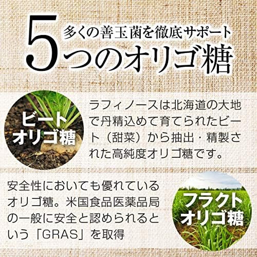 nichie Oligosaccharide, Lactic Acid Bacteria, 5 Types of MIX, Lactorigo, 17.6 oz (500 g), Lactoferrin, Bifidobacteria, Blend - BeesActive Australia