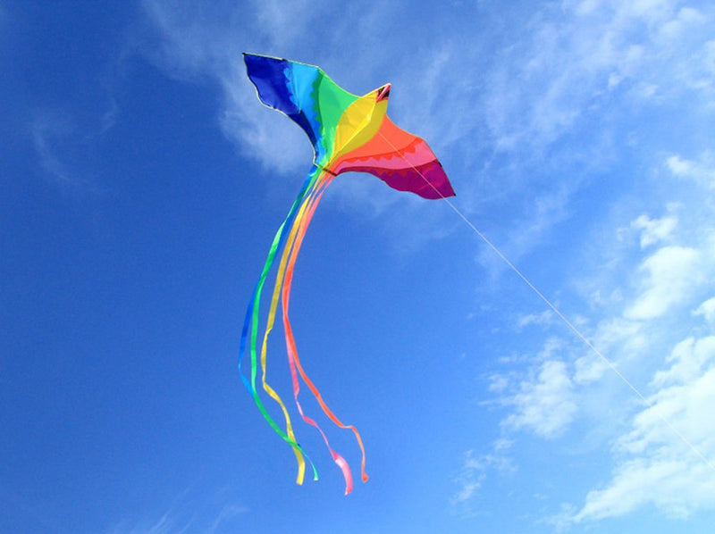 [AUSTRALIA] - HENGDA KITE-Strong Phoenix with Long Colorful Tail!Huge Beginner Phoenix Kites for Kids and Adults 74-Inch Come with String and Handle 