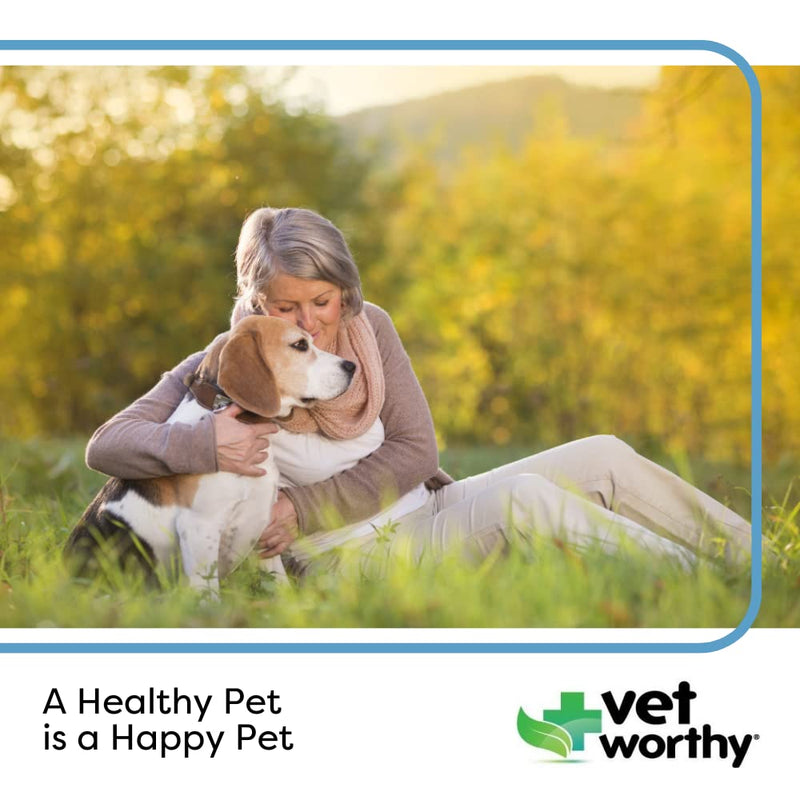 Vet Worthy Senior Multivitamin Chewable for Dogs - Antioxidants and Nutritional Support - Daily Support - Essential Vitamins, Minerals, & Enzymes- Liver Flavor Chewable for Dogs - 60 Tablets - BeesActive Australia