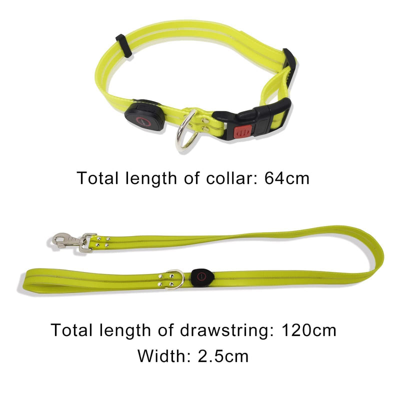 Led Light Up Dog Collars Lights for Night Time Walking Glow in The Dark Dog Leash and Harness Lighted USB Rechargeable for Large Medium Small Pet Yellow LED Collar+leash - BeesActive Australia