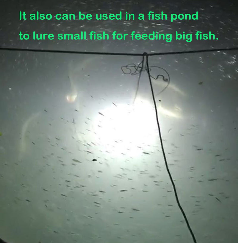 SAMDO IP68 12V LED Underwater Fishing Light 1080 Lumens Fish Attracting Light, Night Fishing Light 10.8W white - BeesActive Australia