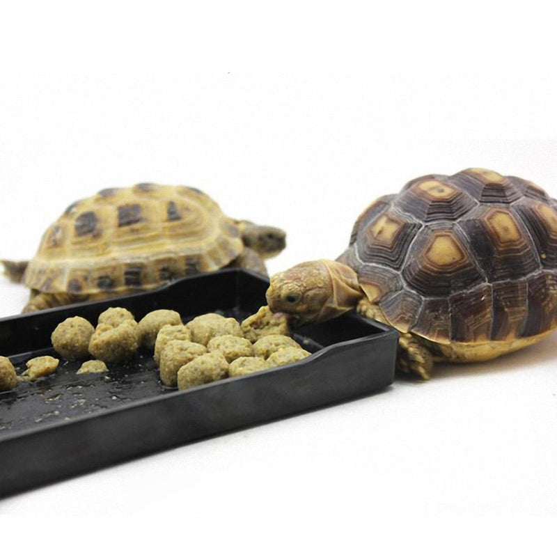OMEM Reptile Bowl Large Food and Water Dish Also Fit for Bath L Black - BeesActive Australia