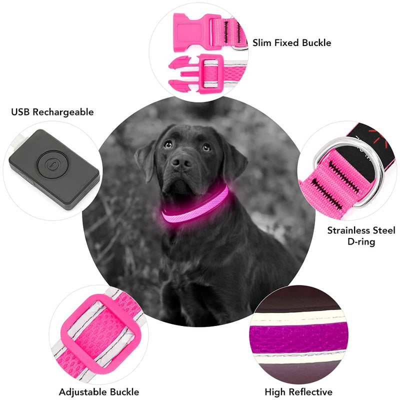 YFbrite Light up Dog Collar, Rechargeable LED Dog Collar, Adjustable Cat Collar Light Safety Glowing at Night for Puppy, Small, Medium, Large Dogs Pink - BeesActive Australia