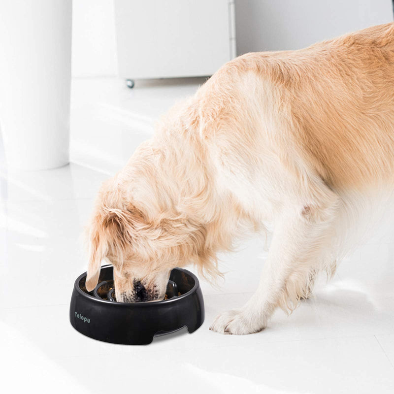 Tolopu Slow Feeder Dog Bowls Stop Bloat Bowl Anti-Choking Anti-Gulping & Fun Feeding Bowl Large BLACK - BeesActive Australia