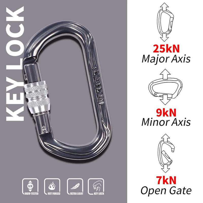 KAILAS UIAA Certified Oval Locking Carabiner Constructed for Rock Climbing Mountaineering and Rescure Standard Alumimun Screw Lock Gate with Major Axis Strength 25KN Iron Gray One Size - BeesActive Australia