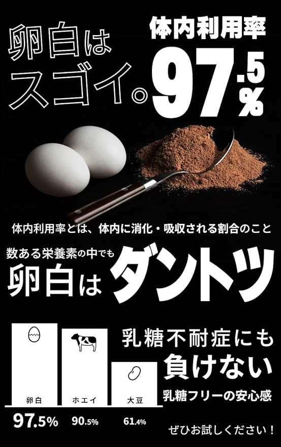 REVOPRO EGG WHITE PROTEIN (Chocolate flavor, bag type) - BeesActive Australia