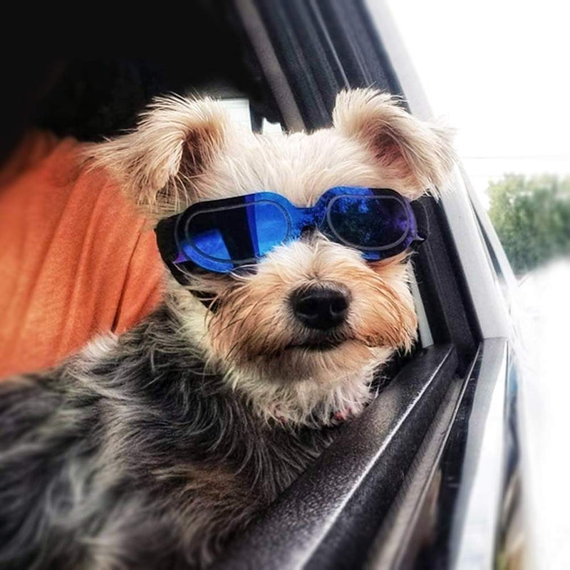 Enjoying Small Dog Goggles Bundle with Tiny Dog Helmet for Puppy - BeesActive Australia