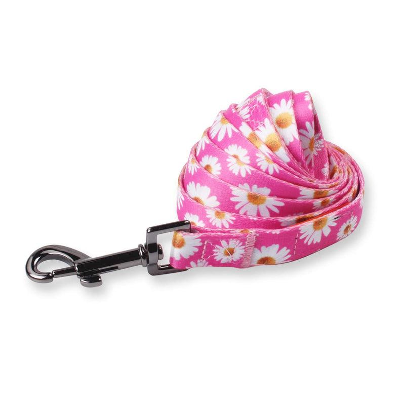 QQPETS Dog Harness Leash Set Adjustable Heavy Duty No Pull Halter Harnesses for Small Medium Large Breed Dogs Back Clip Anti-Twist Perfect for Walking XS(12"-18" Chest Girth) Daisy - BeesActive Australia