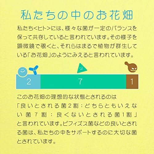 [With translation] Ogaland Bifidobacterium (Set of 3 / Approximately 3 months supply) For those who don't like dairy products (Beauty support/Health support) Galacto-oligosaccharide/Intestinal activity *Expiration date: End of June 2024* - BeesActive Australia
