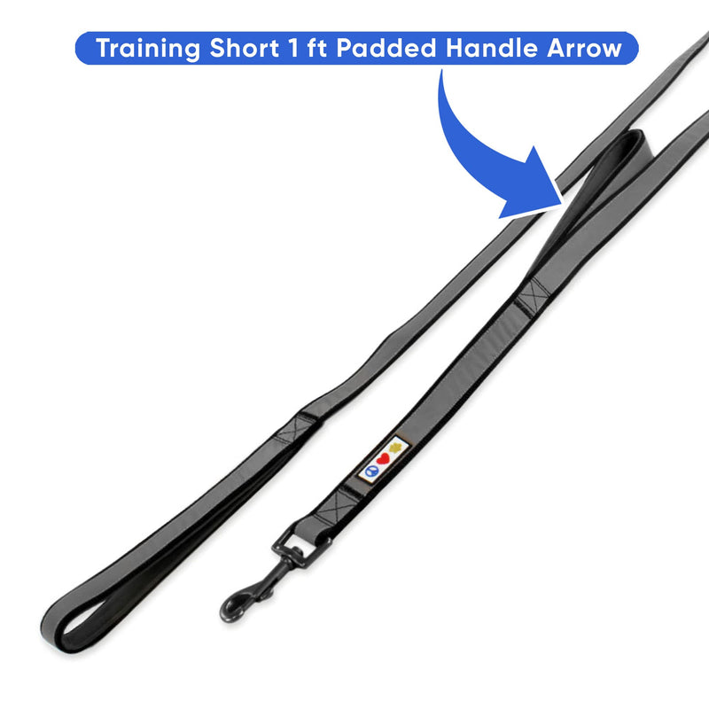 Pawtitas Double Handle Dog Leash Heavy Duty for Training No Pull Leashes Ideal for Medium and Large Dogs| Great for Walking, Running & Training Black - BeesActive Australia