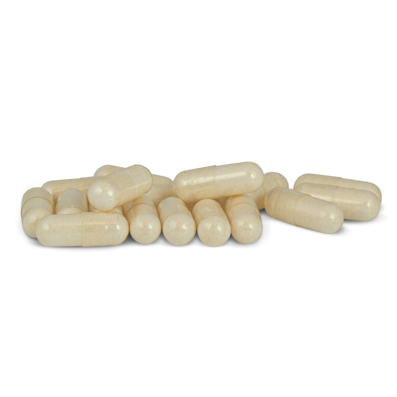 Essential Pet Probiotics with Direct-fed Microorganisms for Digestive Support in Dogs - BeesActive Australia