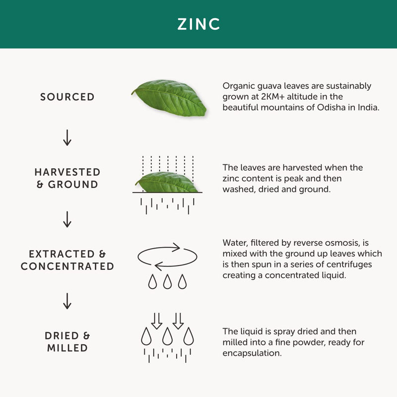 Organic Zinc supplement - Together Health - Natural Source of Zinc from Guava Leaves - Vegan - Made In The UK - 30 Vegecaps - BeesActive Australia