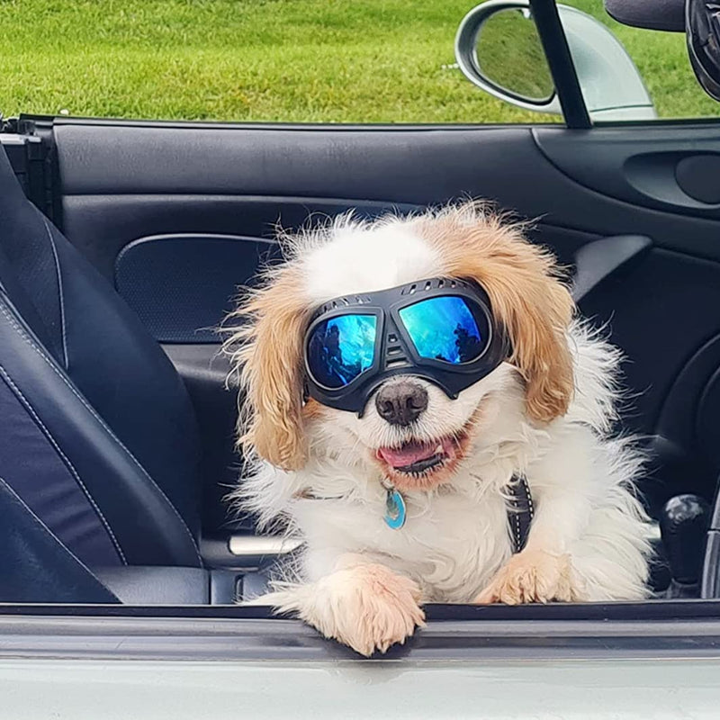 ENJOYING Dog Goggles Anti-UV Dog Sunglasses Soft Pet Motorcycle Eyewear Fog-Proof Windproof Shatterproof Dog Glasses for Dogs About Over 10 lbs Blue Small - BeesActive Australia