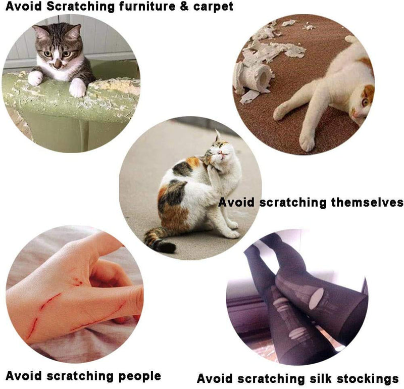 YMCCOOL 100pcs Cat Nail Caps Clear Cat Claw Covers Kitten Nail Caps Pet Tips with Adhesives and Applicators Medium - BeesActive Australia