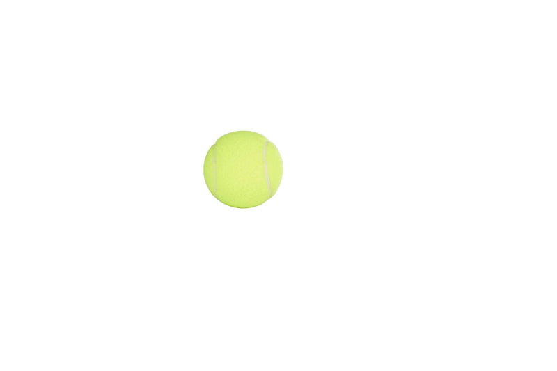 Penn Championship Tennis Balls - Regular Duty Felt Pressurized Tennis Balls 1 Can, 3 Balls - BeesActive Australia