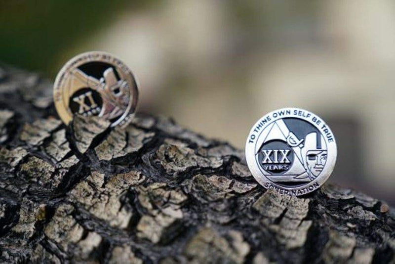 [AUSTRALIA] - MyRecoveryStore Silver and Black Pirate Alcoholics Anonymous AA Chip w/Coin Capsule AA Yearly Medallion 1-50 Years Year 24 