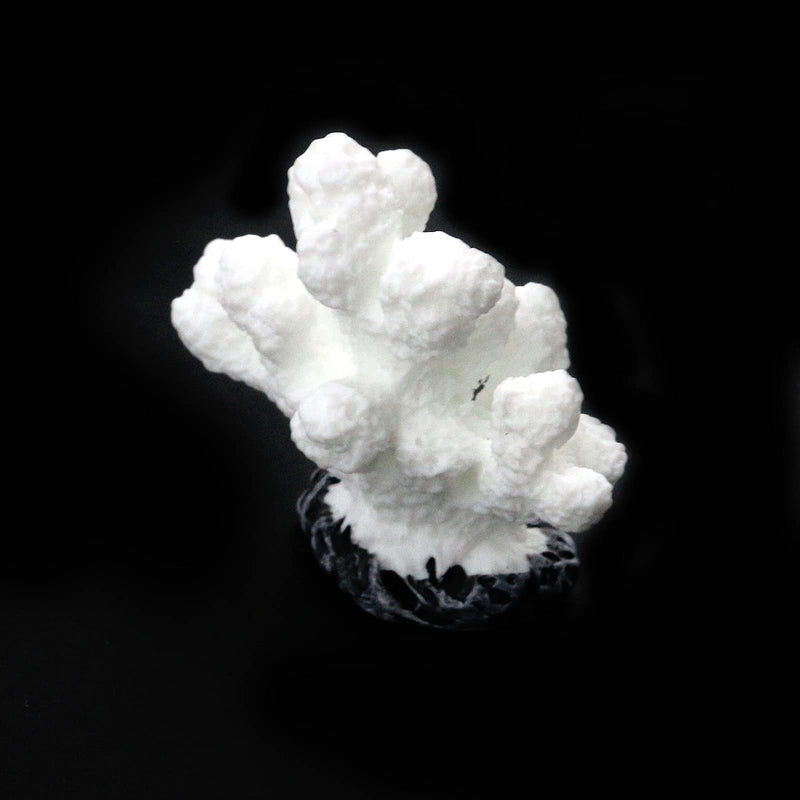 Semetall Artificial Sea Coral Plants Decorations for Fish Tank and Aquarium White - BeesActive Australia