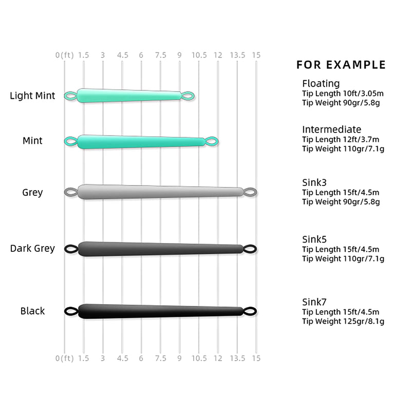SF Skagit Tips Scandi 1D with 2 Welded Loops 10/12/15FT Fly Fishing Spey Line Tip Multi-Color for Salmon Steelhead (90/110/125GR) Mint-Intermediate 10', 90 Grains - BeesActive Australia