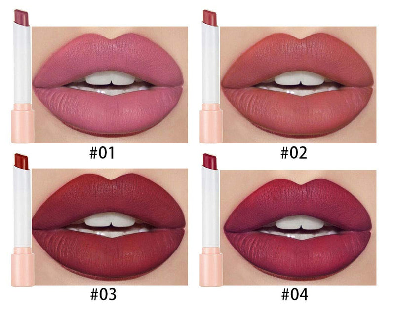 Eyret Smoke Tube Lipstick Suit Matte Waterproof Lipsticks Set Longwear Durable Lip Stick Pack for Women and Girls(4Pcs)(E-Set A) E-Set A - BeesActive Australia