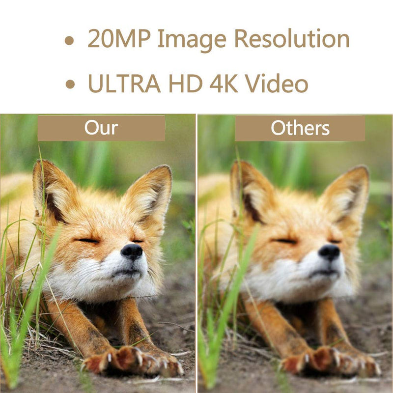Trail Game Camera 4K 20MP, Hunting Camera with Night Vision Motion Activated Waterproof Camera 0.2s Trigger Time Scouting Cam 2.4” LCD IR LEDs 120° Wide Angle for Wildlife Home Monitoring Trail Game Camera-A - BeesActive Australia