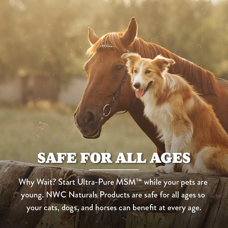 Ultra-Pure MSM for Dogs, Cats & Horses, Supports Hip, Joint and Connective Tissue for Healthy Cartilage and Mobility Opti MSM the Purest in the World by NWC Naturals 1 lb Canister (Model: POWDER) - BeesActive Australia