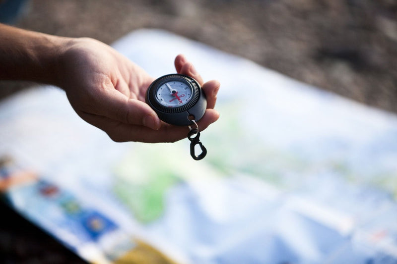Coghlan's Compass Trail - BeesActive Australia