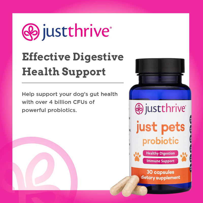 Just Thrive: Just Pets Probiotic - 30 Capsules, 8 oz - Daily Digestive Support for Dogs - Gut Health Supplement for Large and Small Breeds - No Wheat, Gluten, Soy, Dairy, Nuts or Chicken - BeesActive Australia