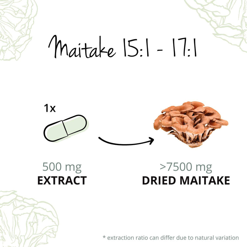 Maitake Vegavero® | 100% Organic | 500mg (15:1) Mushroom Extract | with 50% Polysaccharides | NO Additives | 60 Vegan Capsules - BeesActive Australia