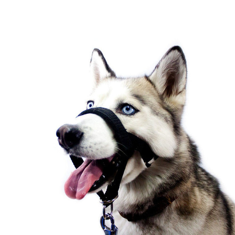 Dog Head Collar, No Pull Training Tool for Dogs on Walks, Includes Free Training Guide, 5 XL Black - BeesActive Australia